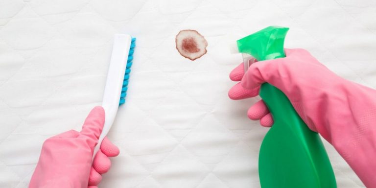 Come Togliere Le Macchie Di Sangue? Ecco 5 Sistemi